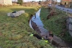 rzeka-Osownia-Zbylutow-Wody-Polskie-Lwowek-4