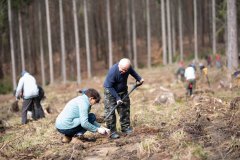 akcja-sadzenia-drzew-w-powiecie-lwoweckim-05