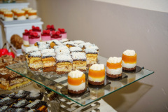 XIV-Bal-Charytatywny-Brunow-2026-02