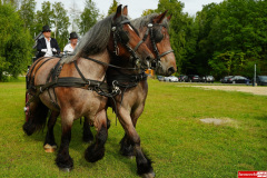 Daniel-Magdalena-Koko-slub-wesele-2025-Gryfow-Slaski-19