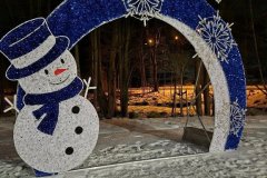 choinka-dekoracje-swieradow-2