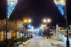 choinka-dekoracje-swieradow-8