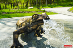 Czerniawa-Zdroj-park-zdrojowy-Swieradow-28