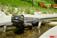 Czerniawa-Zdroj-park-zdrojowy-Swieradow-31