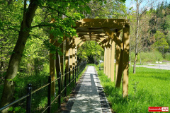 Czerniawa-Zdroj-park-zdrojowy-Swieradow-38