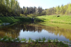 mala-retencja-nadlesnictwo-lwowek-10
