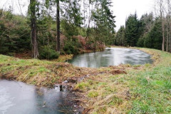 mala-retencja-nadlesnictwo-lwowek-12