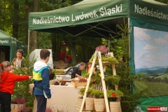Dolnoslaski-Festiwal-Dary-Lasu-2022-Lwowek-Slaski-045