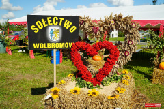 dozynki-wieza-gryfow-2025-31