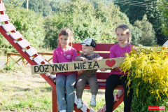 dozynki-wieza-gryfow-2025-90