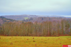 Pilchowice-Pokrzywnik-droga-01