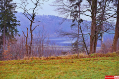 Pilchowice-Pokrzywnik-droga-02