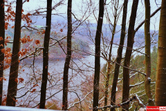 Pilchowice-Pokrzywnik-droga-04