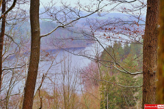 Pilchowice-Pokrzywnik-droga-06