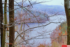 Pilchowice-Pokrzywnik-droga-09