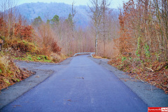 Pilchowice-Pokrzywnik-droga-11