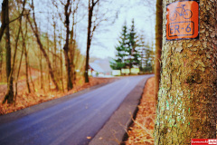 Pilchowice-Pokrzywnik-droga-18