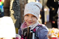 dworska-dyszka-lwowek-slaski-2025-009