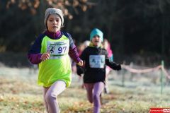 dworska-dyszka-lwowek-slaski-2025-058