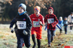 dworska-dyszka-lwowek-slaski-2025-068