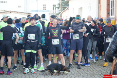 dworska-dyszka-lwowek-slaski-2025-099