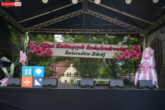 DNI-KWITNACYCH-RODODENDRONOW-SWIERADOW-202641