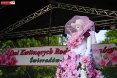 DNI-KWITNACYCH-RODODENDRONOW-SWIERADOW-202644