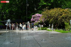 DNI-KWITNACYCH-RODODENDRONOW-SWIERADOW-202651