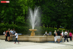 DNI-KWITNACYCH-RODODENDRONOW-SWIERADOW-202659