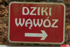 dziki-wawoz-rezerwat-przyrody-maciejowiec-pokrzywnik-03