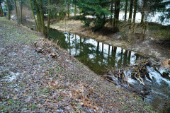 ekspansja-bobra-europejskiego-statystyki-liczebnosc-3