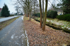 ekspansja-bobra-europejskiego-statystyki-liczebnosc-6