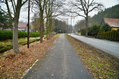 ekspansja-bobra-europejskiego-statystyki-liczebnosc-9