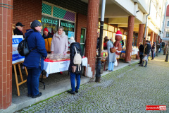 2025-Jarmark-Gryfow-29