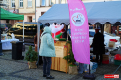 2025-Jarmark-Gryfow-38
