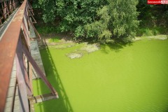 Jezioro-Zlotnickie-sinice-i-zielenice-zakwit-wody-07