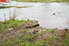 Spływ kajakami rzeka Bóbr Marczów 13