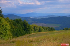rezerwat-przyrody-kamieniolom-w-Radomicach-Wlen-lwowecki-02