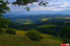 rezerwat-przyrody-kamieniolom-w-Radomicach-Wlen-lwowecki-05