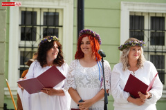 parada-kwisonalia-2026-30