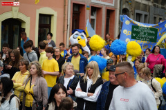 parada-kwisonalia-13