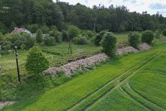 lwowek-powodz-ulica-Graniczna-tory-01