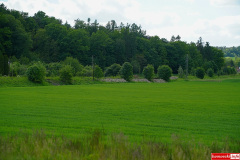 lwowek-powodz-ulica-Graniczna-tory-12
