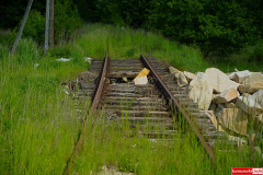 lwowek-powodz-ulica-Graniczna-tory-14