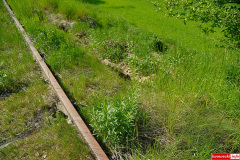 lwowek-powodz-ulica-Graniczna-tory-21