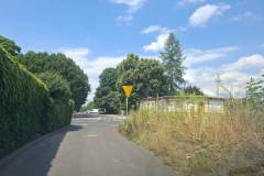 lwowek-tonie-w-chwastach-02
