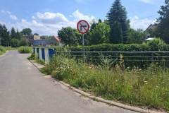 lwowek-tonie-w-chwastach-03