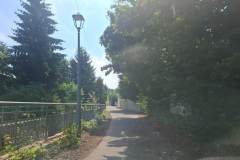 lwowek-tonie-w-chwastach-04