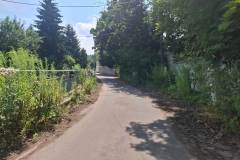 lwowek-tonie-w-chwastach-12