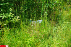 Rakowice-zwirownia-Bahama-08